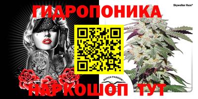 хмурый Брянск
