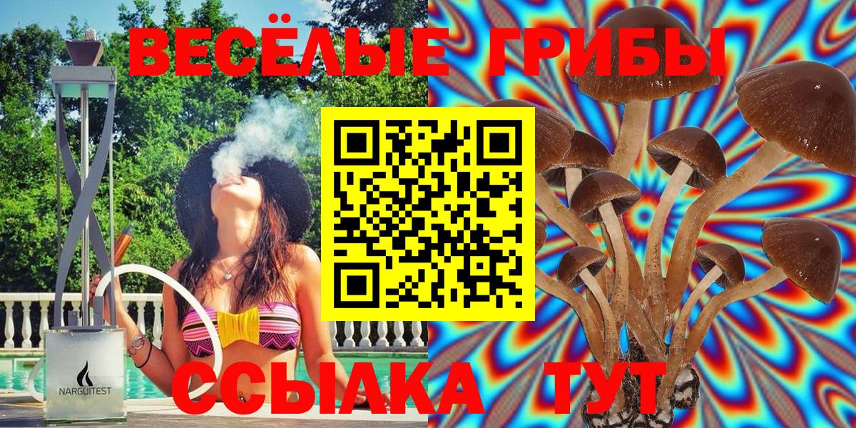 Галлюциногенные грибы MAGIC MUSHROOMS Алушта